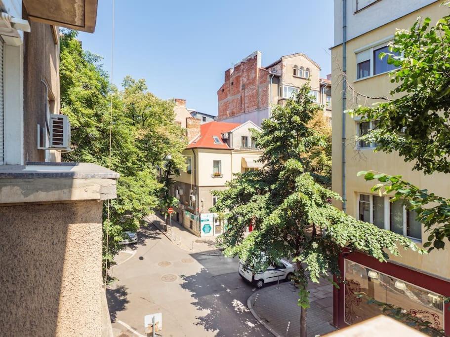 Cozy 1 Bdrm, Center, Solunska Near Vitoshka Street Apartemen